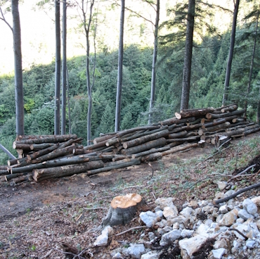Lavoro 05d 370x368 Lavoro 05d 370x368